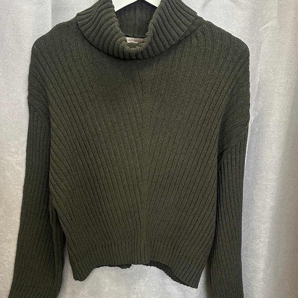 New with tags. Turtleneck sweater. Olive. Skies are Blue